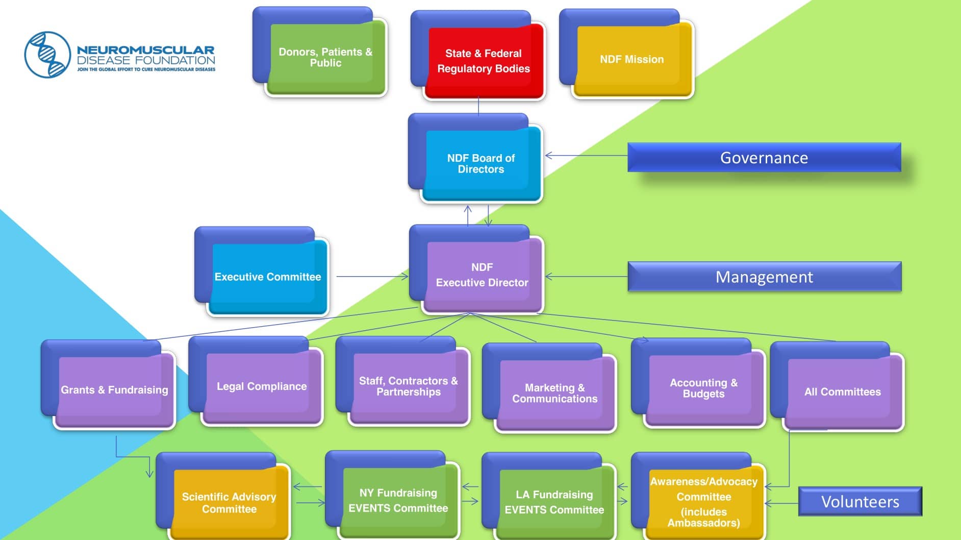 Chart explaining the organizational structure of NDF