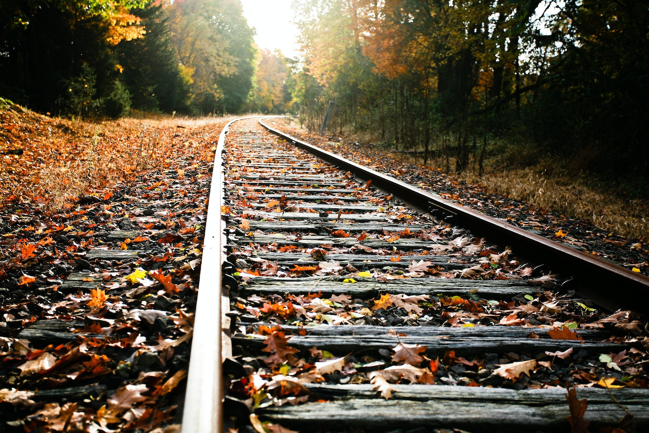 train tracks in the fall foliage